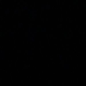 Meet your Posher, Donovan